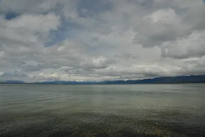 DSC_6769 (Large).JPG